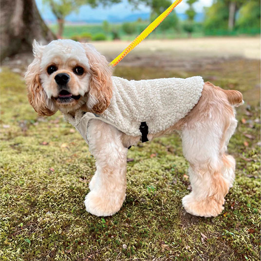 使用イメージ。モデル犬：体重8kg・背丈42cm・胸囲46cm／42サイズ着用