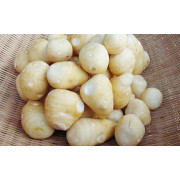 大野さといも（アライコ）500ｇ×6袋（他品番との同時購入不可）【出荷時期：１０月下旬より順次】