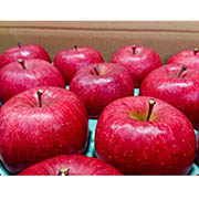 【秀品】サンふじ 2.5kg（他商品との同時購入不可）【出荷時期：11月末頃より順次出荷　販売時期12月末頃まで】