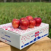 完熟葉取らずサンふじ5kg（他品番との同時購入不可）【出荷時期：11月上旬より / 販売時期：1月下旬頃まで】