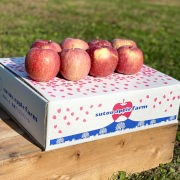 【訳あり】完熟葉取らずサンふじ5kg（他品番との同時購入不可）【出荷時期：11月上旬より / 販売時期：1月下旬頃まで】