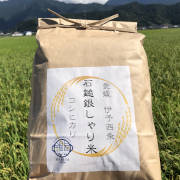 令和7年産 石鎚銀しゃり米（コシヒカリ）5kg（他品番との同時注文不可）【出荷時期：ご注文から一週間程度】