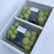 【TUBU】MIXパック（500g×2P）（他品番との同時注文不可）【出荷時期：9月上旬より順次】