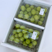 【TUBU】シャインマスカット（500g×2P）（他品番との同時注文不可）【出荷時期：9月上旬より順次】