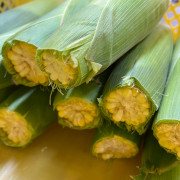 【訳あり】とうもろこし「おおもの」家庭用3kg（他品番との同時注文不可）【出荷時期：9月中旬より順次】