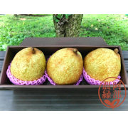 福島県産洋ナシ ゼネラルレクラーク大玉3個　ギフト用(他品番との同時購入不可）【10月上旬より順次お届け】