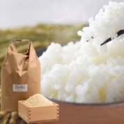【特別栽培】青森県鰺ヶ沢産「まっしぐら」 白米5kg(1回の注文は10kgまで）【出荷時期：10月中旬より 】