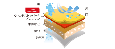 イメージ画像